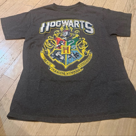 Original Harry Potter Hogwarts T-Shirt Size L cotton blend gray Boys - Picture 1 of 3